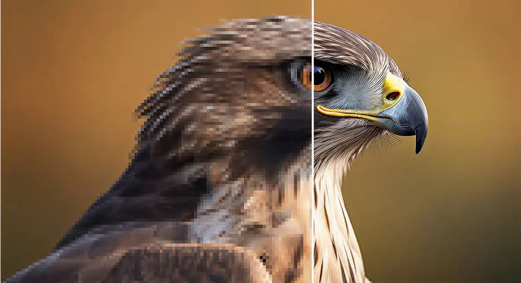 Image upscaler